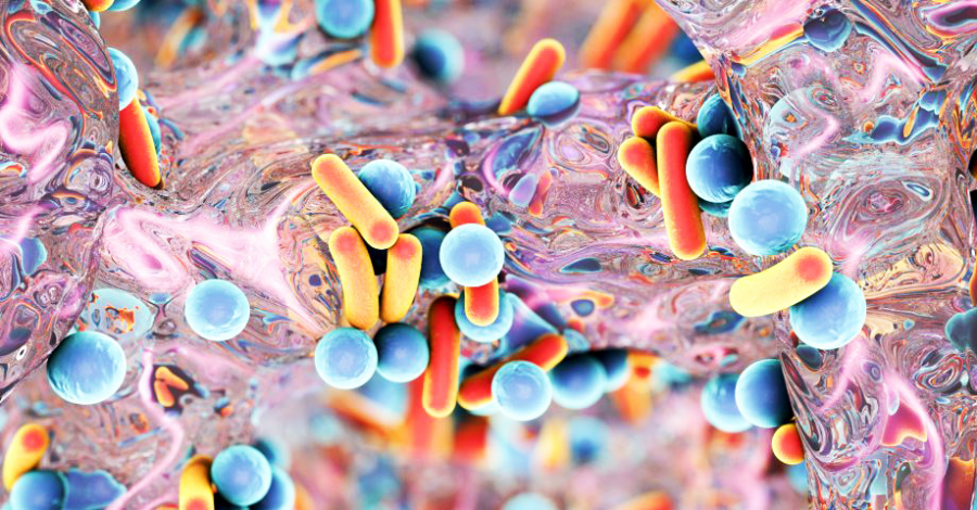 Como se forma um Biofilme?